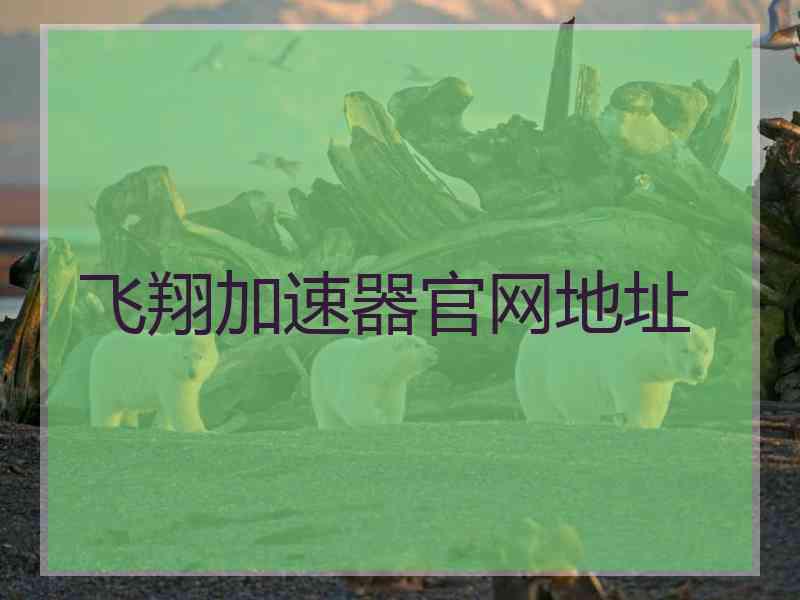 飞翔加速器官网地址