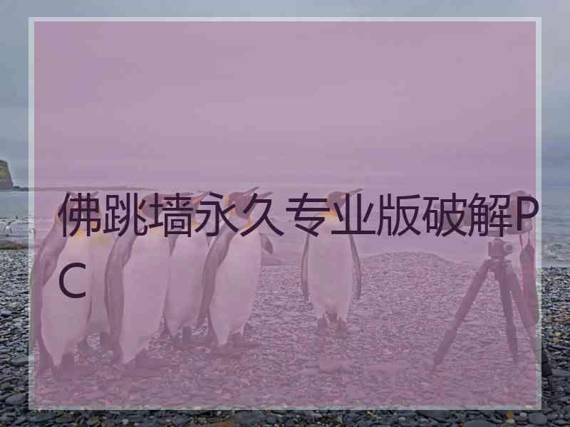 佛跳墙永久专业版破解PC