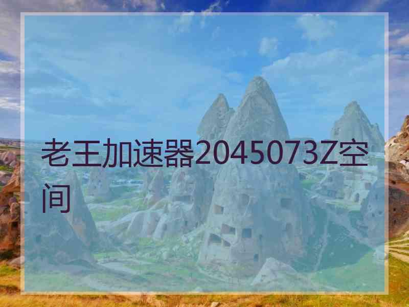 老王加速器2045073Z空间