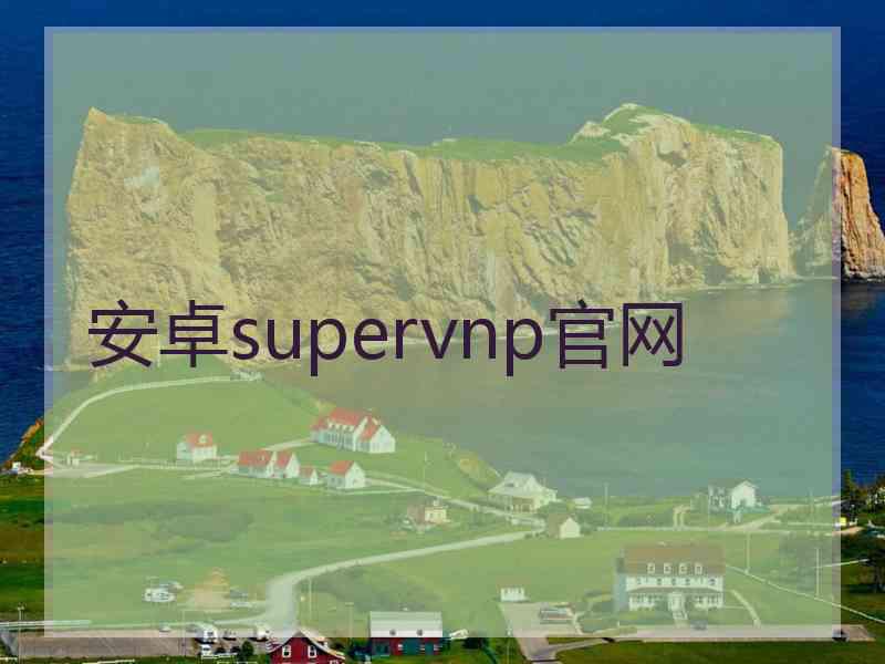 安卓supervnp官网