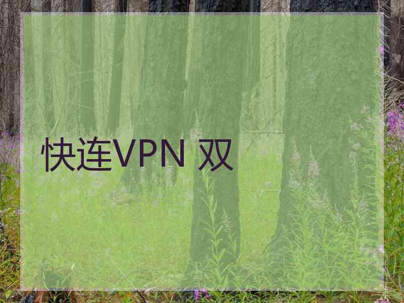 快连VPN 双