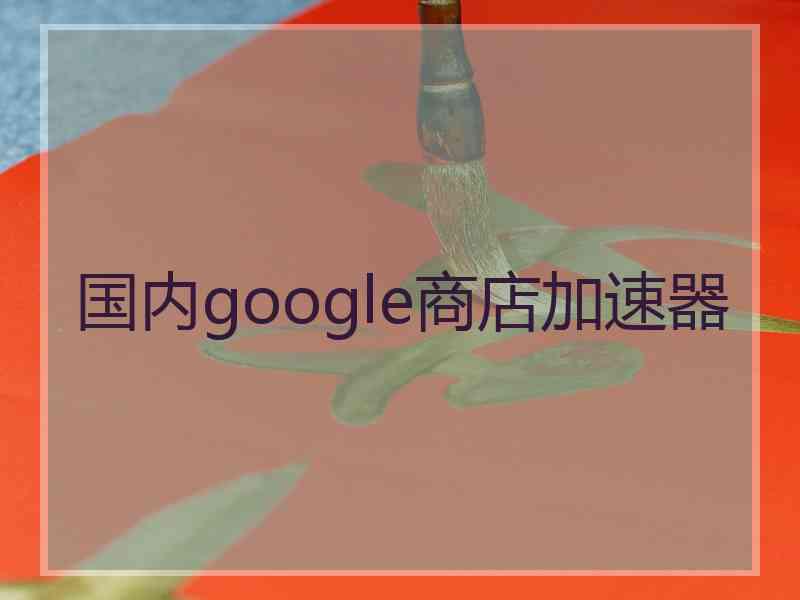 国内google商店加速器