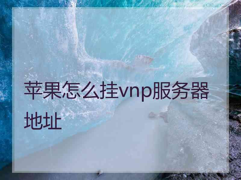 苹果怎么挂vnp服务器地址