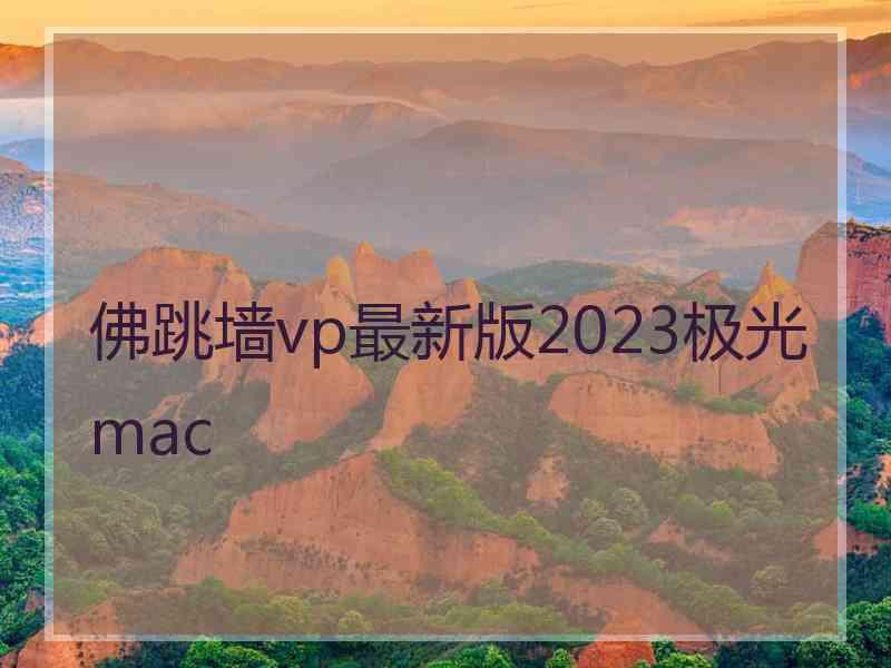 佛跳墙vp最新版2023极光 mac