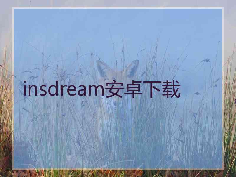 insdream安卓下载