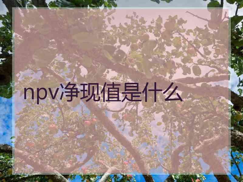 npv净现值是什么