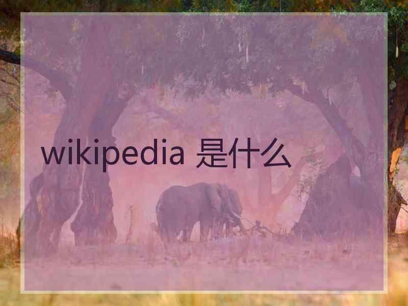 wikipedia 是什么