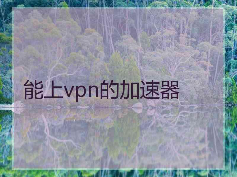 能上vpn的加速器