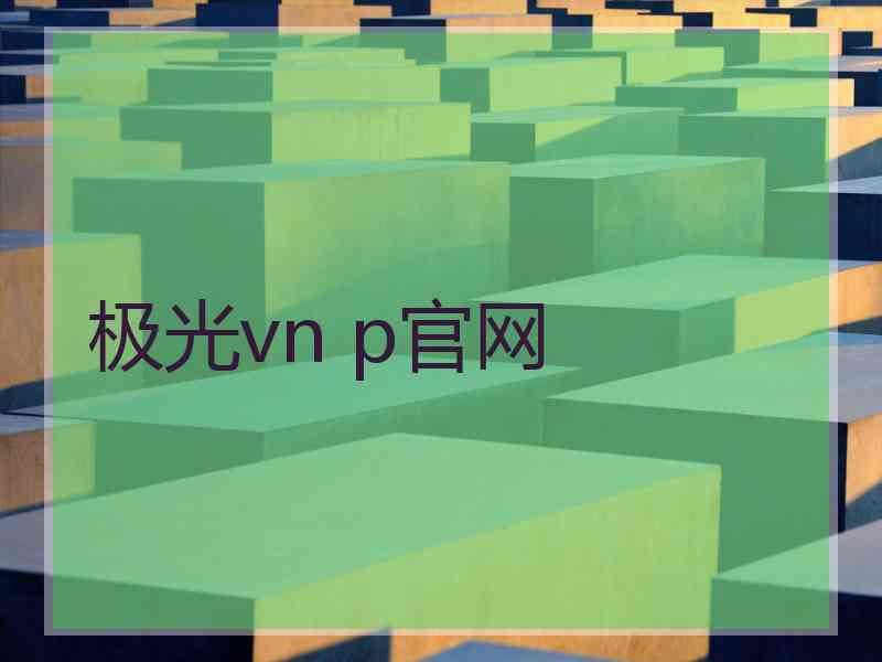 极光vn p官网