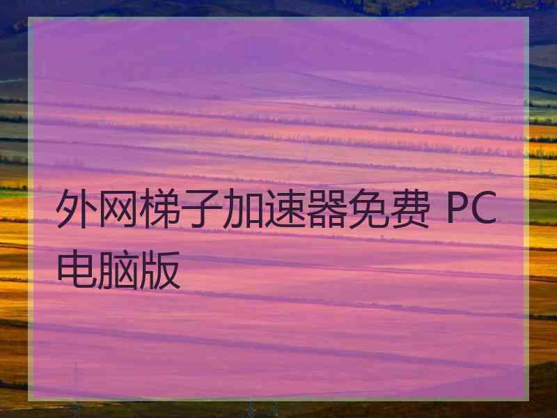 外网梯子加速器免费 PC电脑版