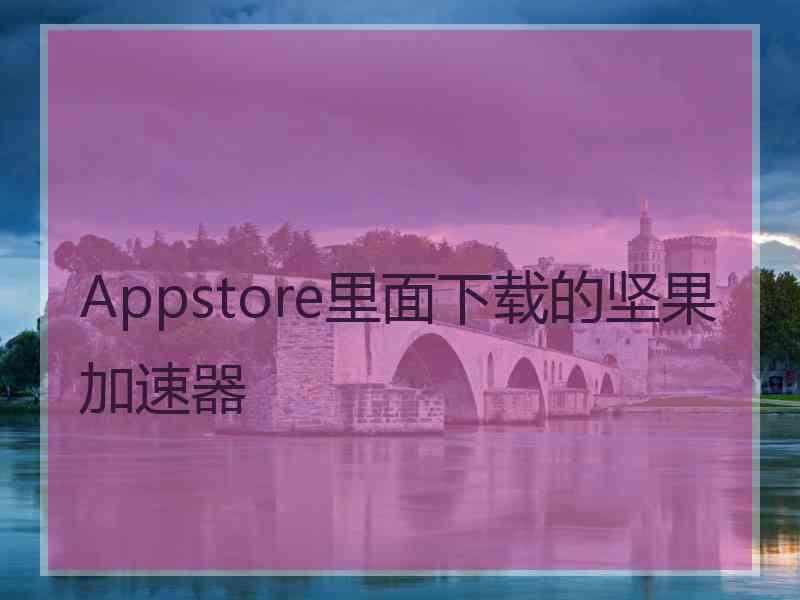 Appstore里面下载的坚果加速器