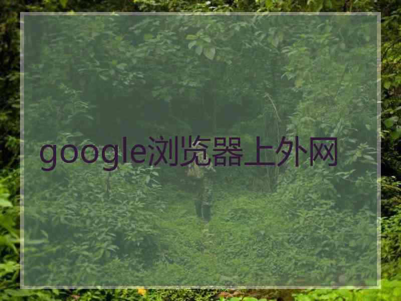 google浏览器上外网