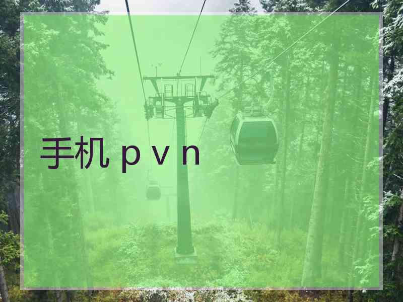 手机 p v n