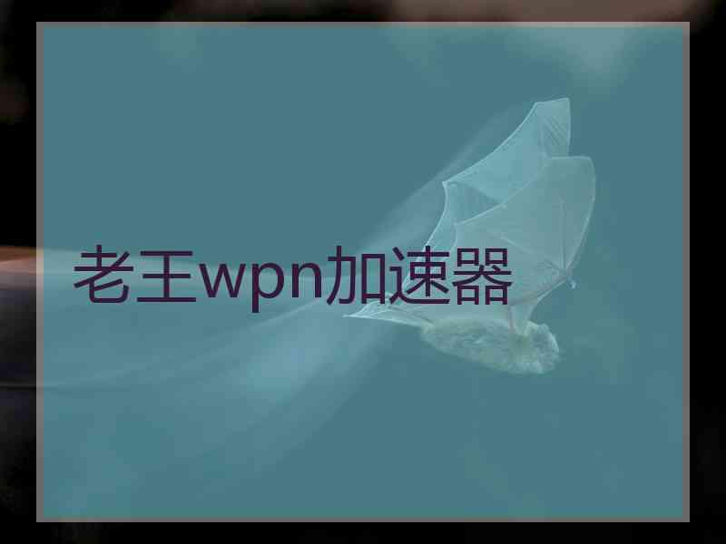 老王wpn加速器