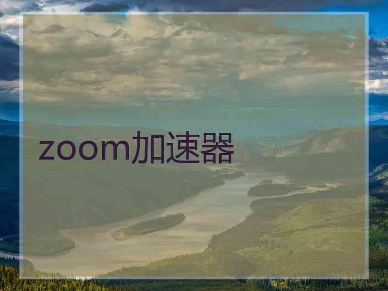 zoom加速器