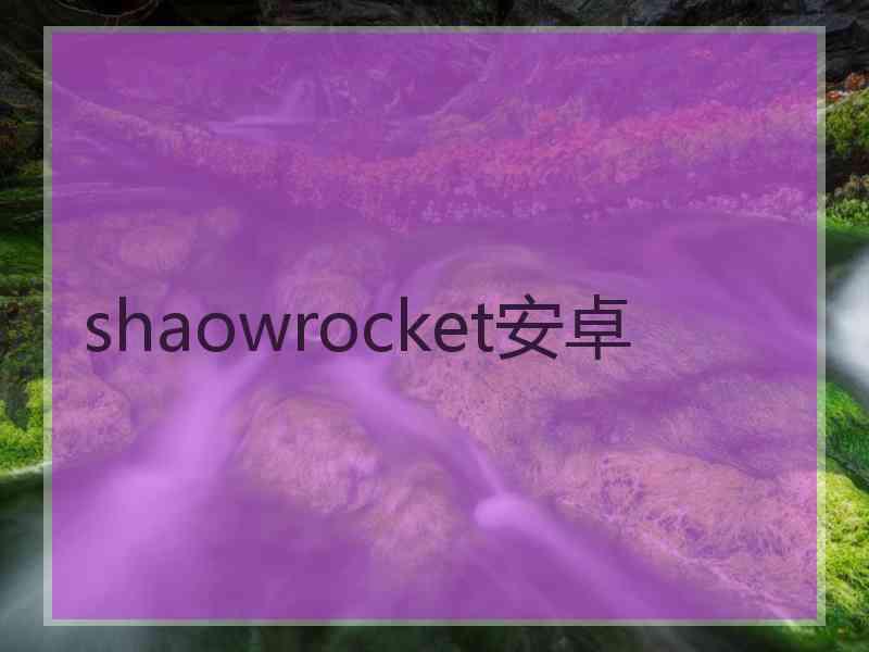 shaowrocket安卓