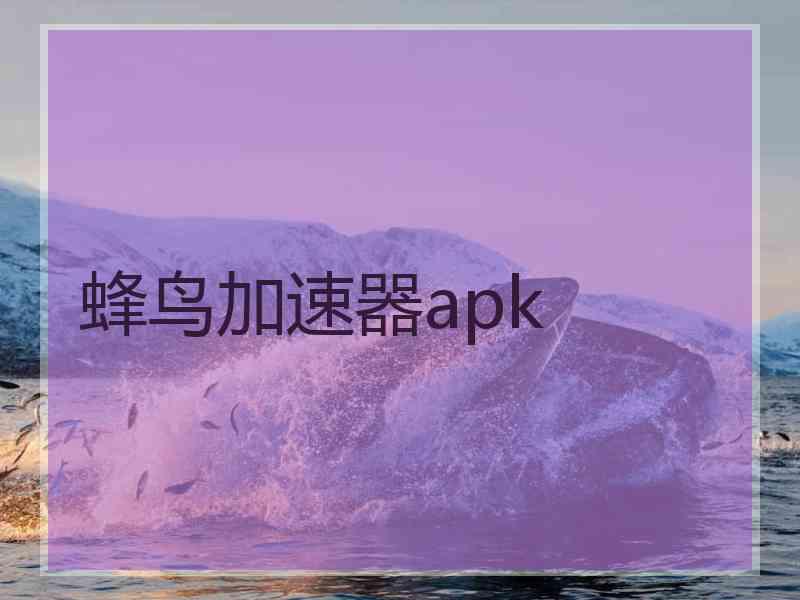 蜂鸟加速器apk