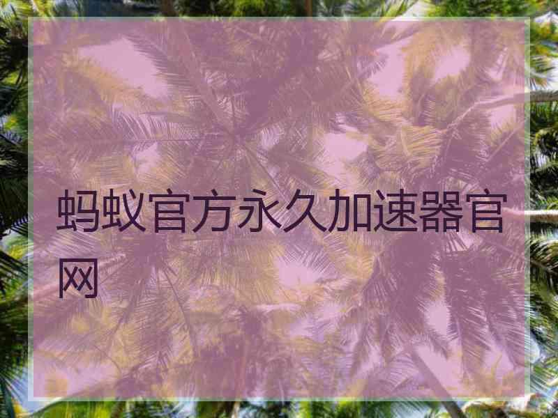 蚂蚁官方永久加速器官网