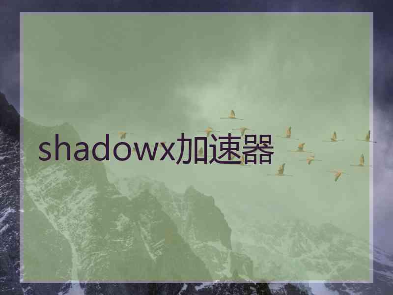 shadowx加速器