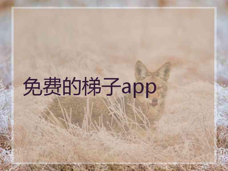 免费的梯子app