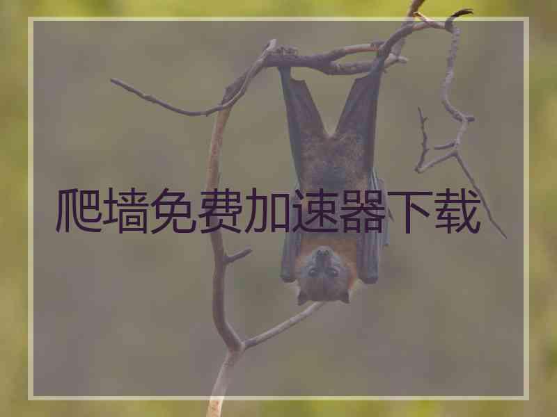 爬墙免费加速器下载