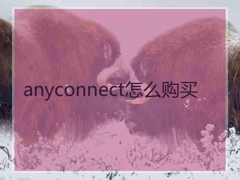 anyconnect怎么购买