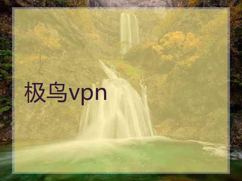 极鸟vpn