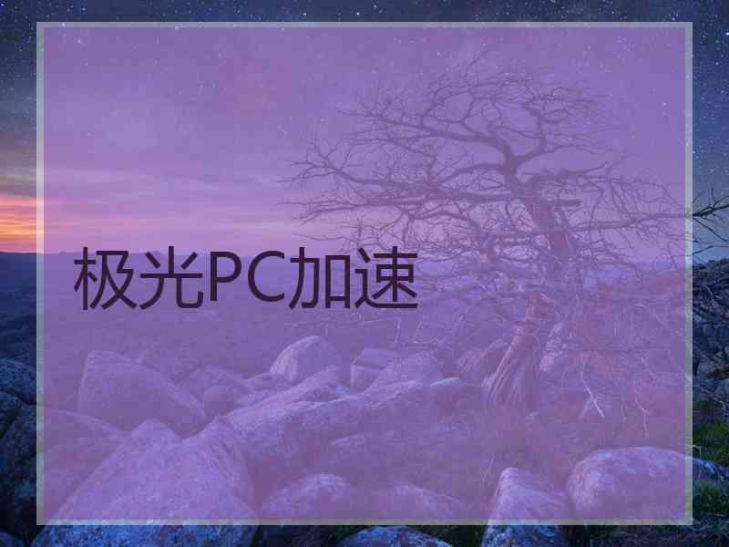 极光PC加速