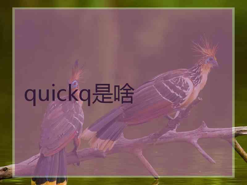 quickq是啥