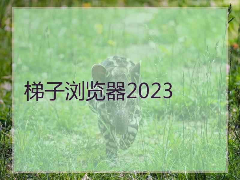 梯子浏览器2023