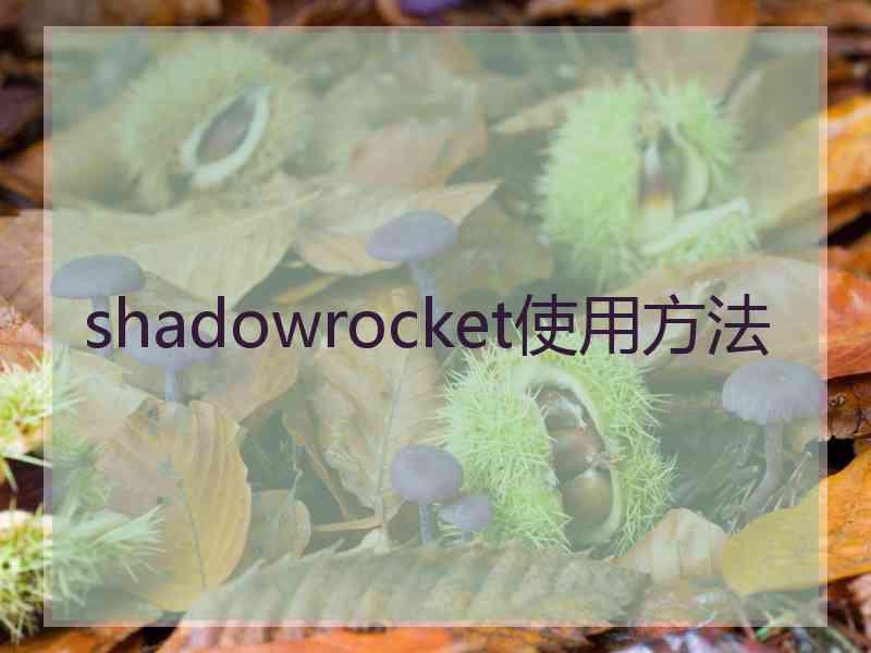 shadowrocket使用方法