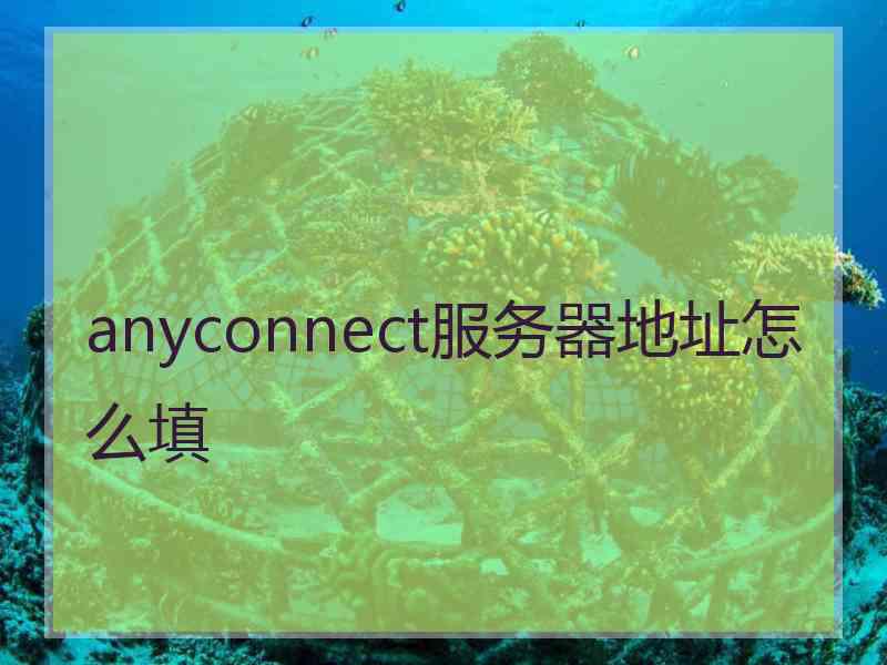 anyconnect服务器地址怎么填