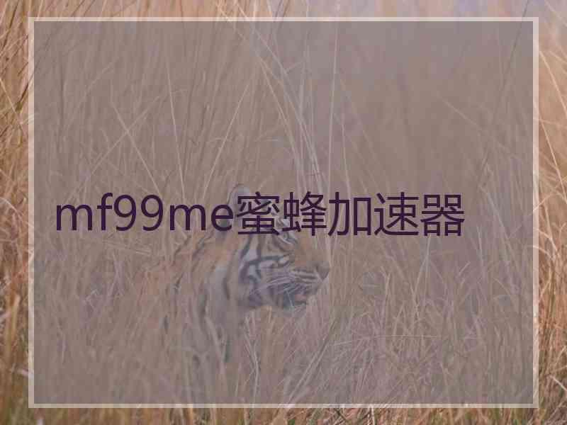 mf99me蜜蜂加速器