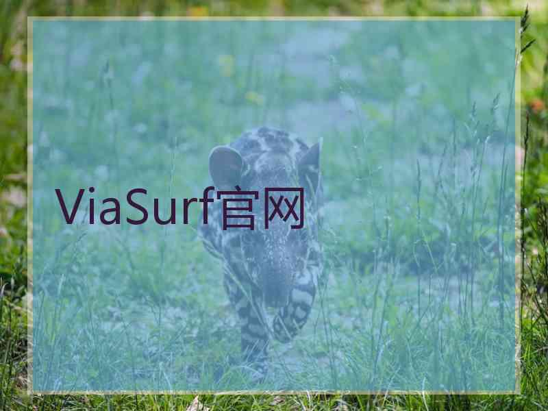 ViaSurf官网