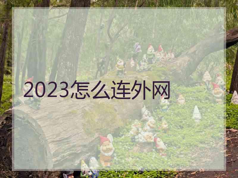 2023怎么连外网