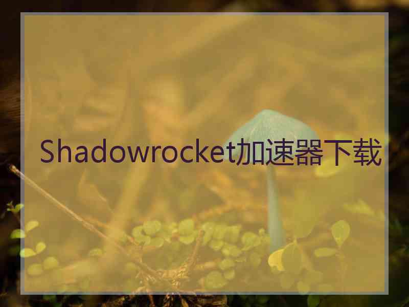 Shadowrocket加速器下载