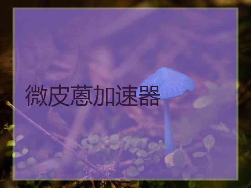 微皮蒽加速器