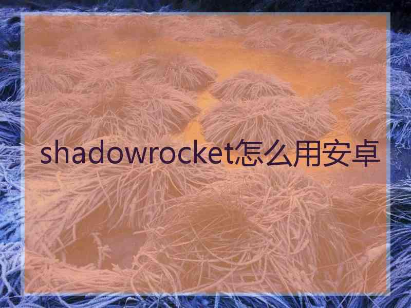 shadowrocket怎么用安卓