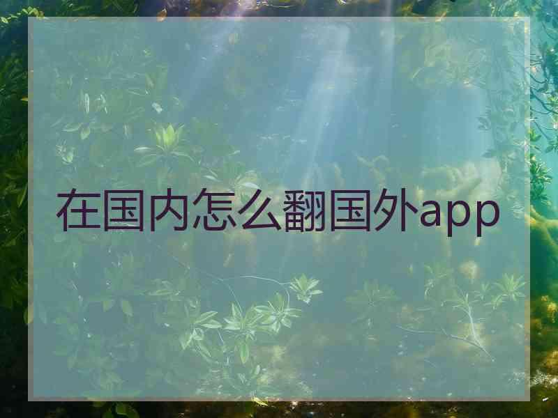 在国内怎么翻国外app