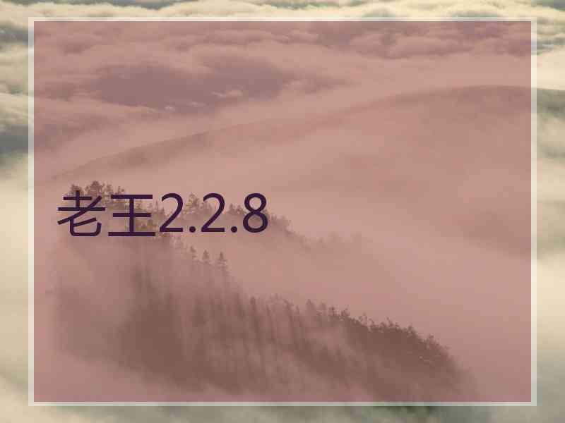 老王2.2.8