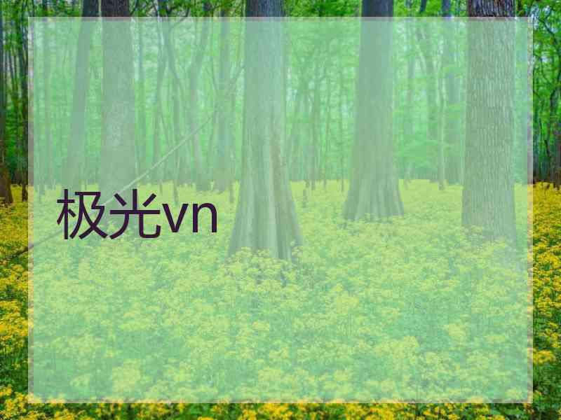 极光vn