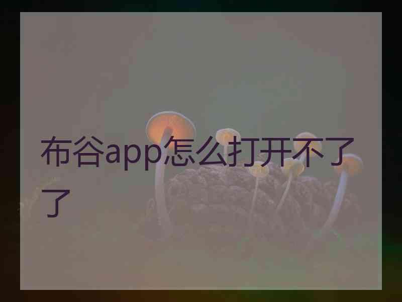 布谷app怎么打开不了了