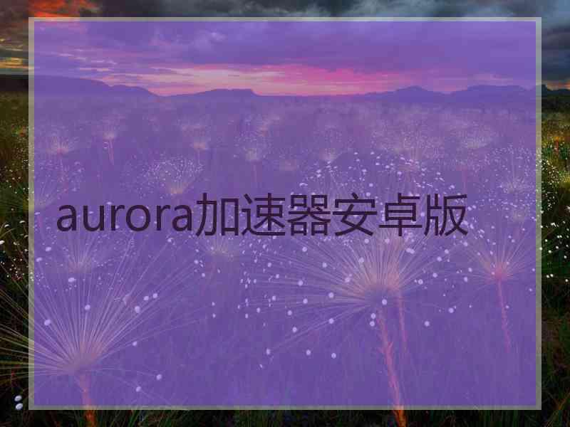 aurora加速器安卓版