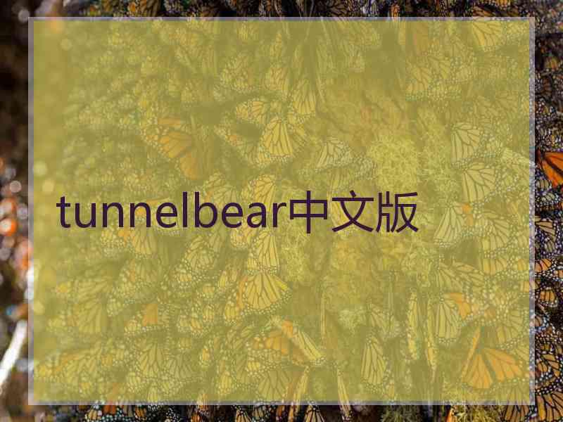 tunnelbear中文版