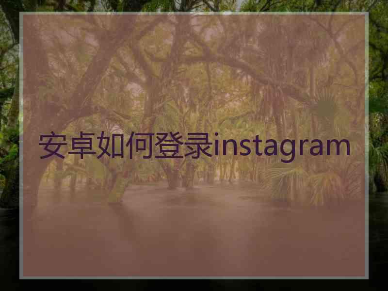 安卓如何登录instagram