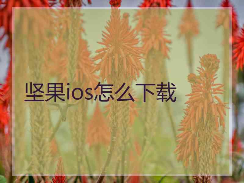 坚果ios怎么下载