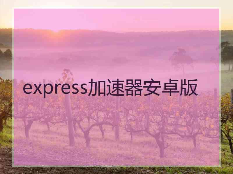 express加速器安卓版