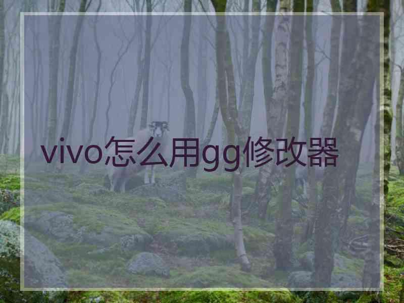 vivo怎么用gg修改器