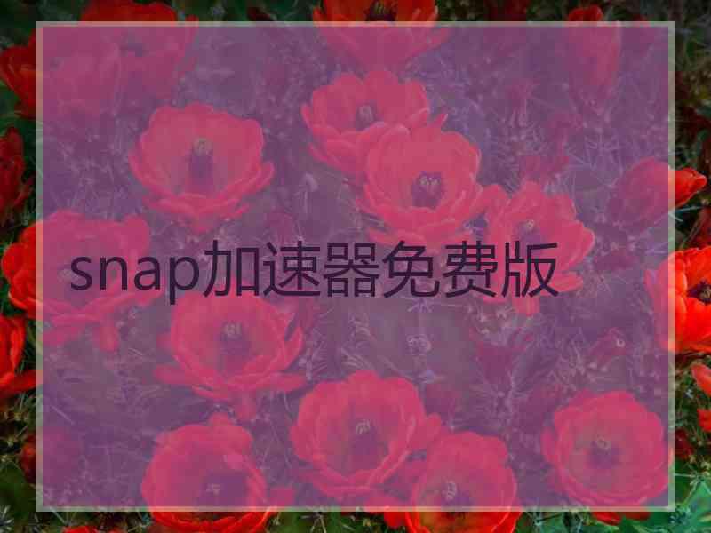 snap加速器免费版