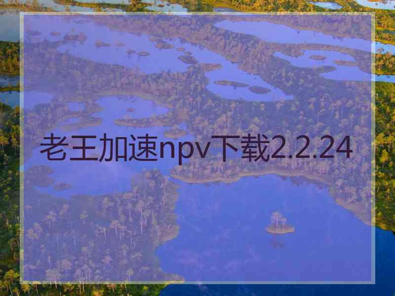 老王加速npv下载2.2.24